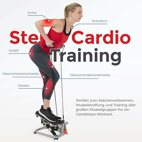 Sunny Health & Fitness Mini-Stepper